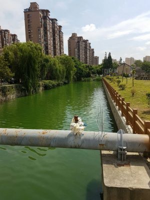 中国生活の苦労（飲料水）ミネラルウォーターの自作 参考画像