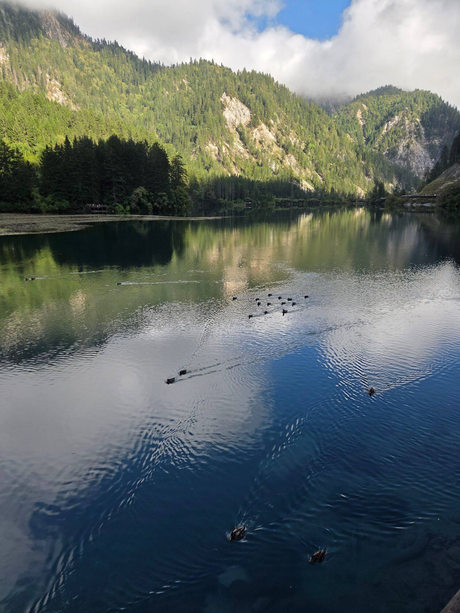 タヌキ親父社長と空気清浄機の話 参考画像