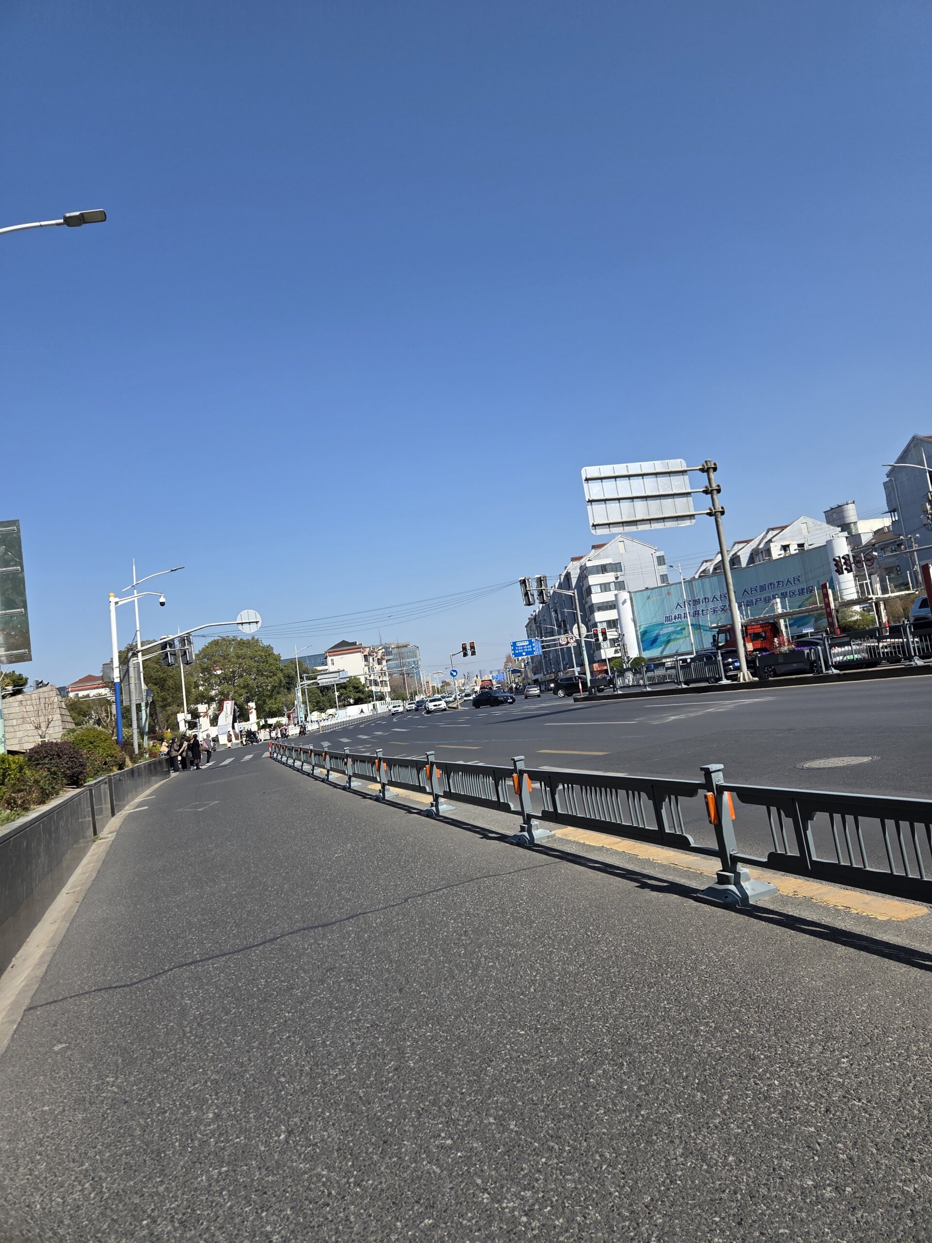 うなぎの稚魚を輸出しようとした、プロジェクトUの結末 参考画像