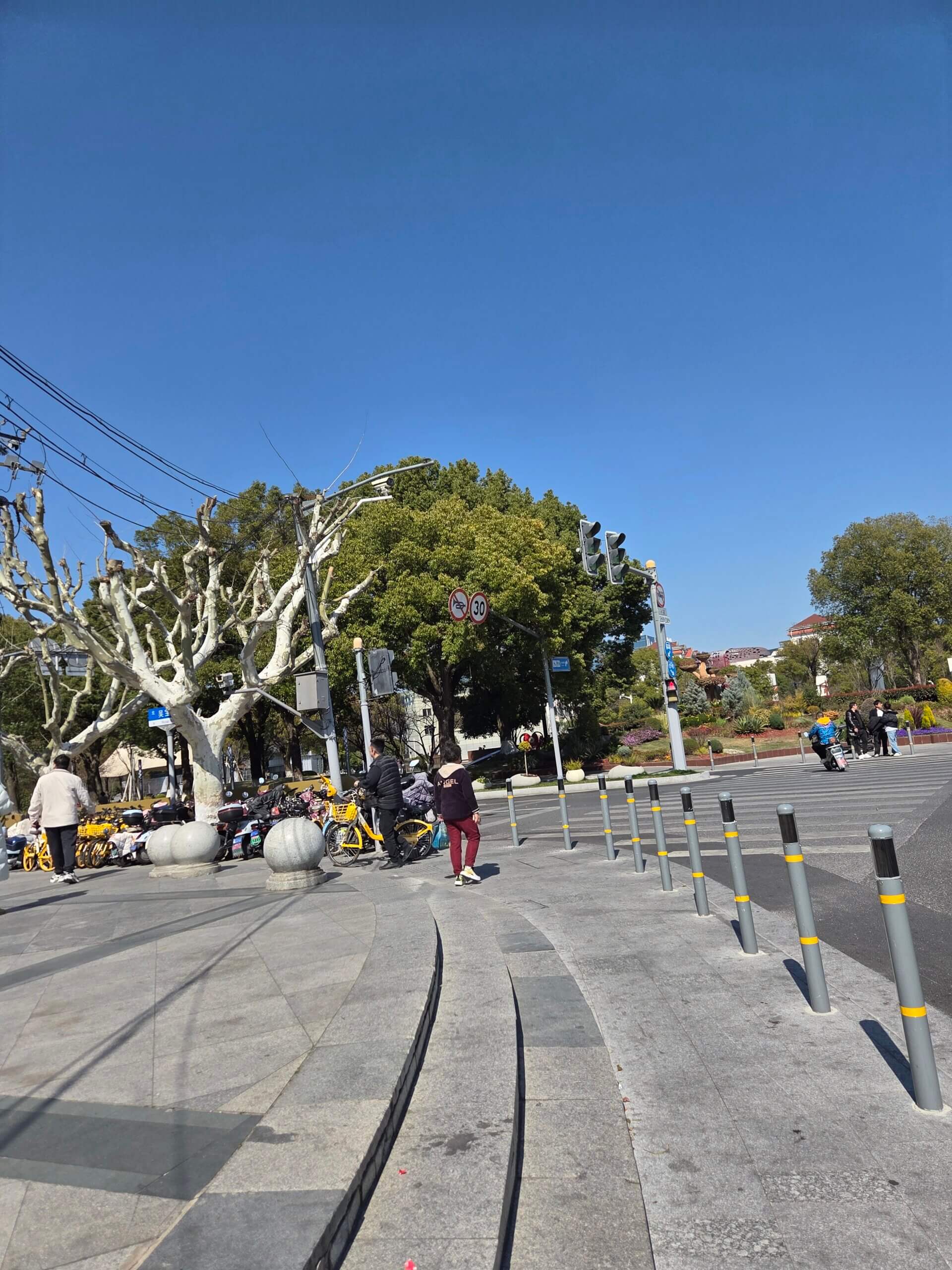 うなぎの稚魚を輸出しようとした、プロジェクトUの結末 参考画像