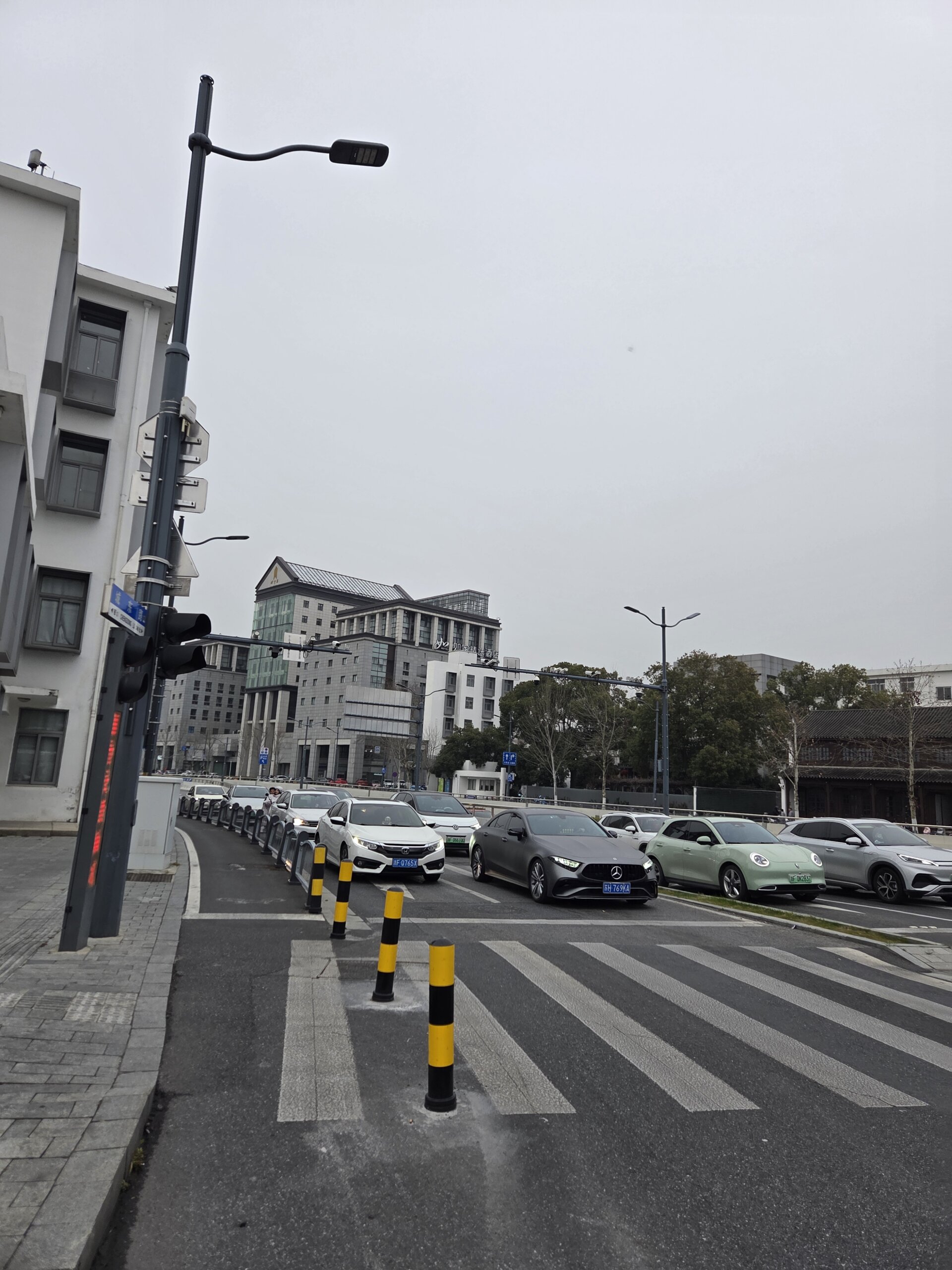 うなぎの稚魚を輸出しようとした、プロジェクトUの結末 参考画像