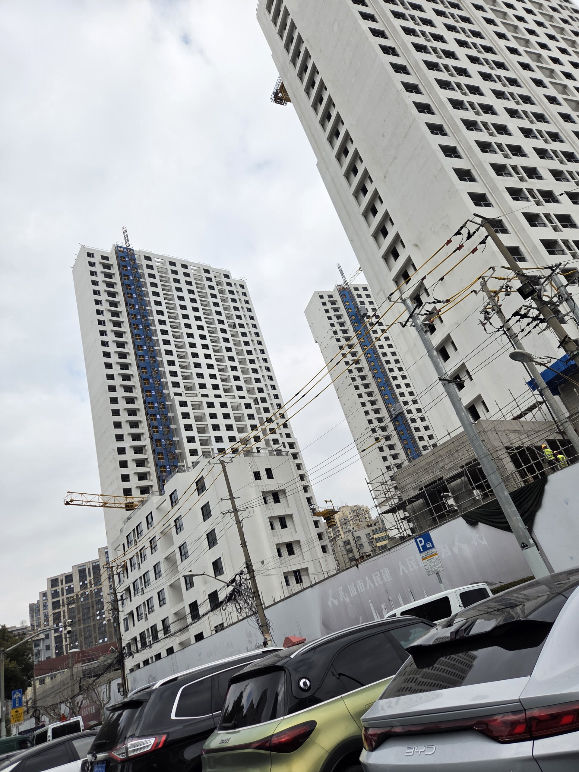 うなぎの稚魚を輸出しようとした、プロジェクトUの結末 参考画像