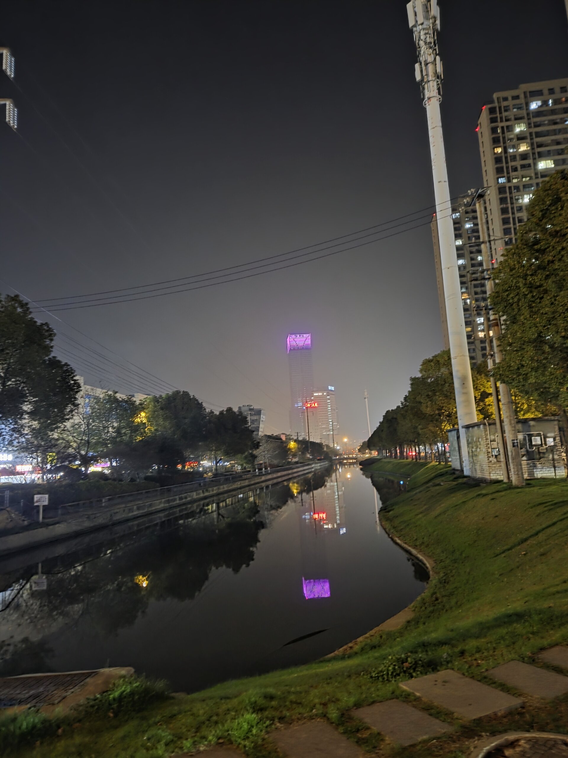 うなぎの稚魚を輸出しようとした、プロジェクトUの結末 参考画像