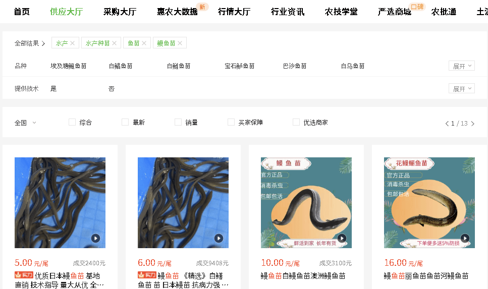 うなぎの稚魚を輸出しようとした、プロジェクトUの結末 参考画像