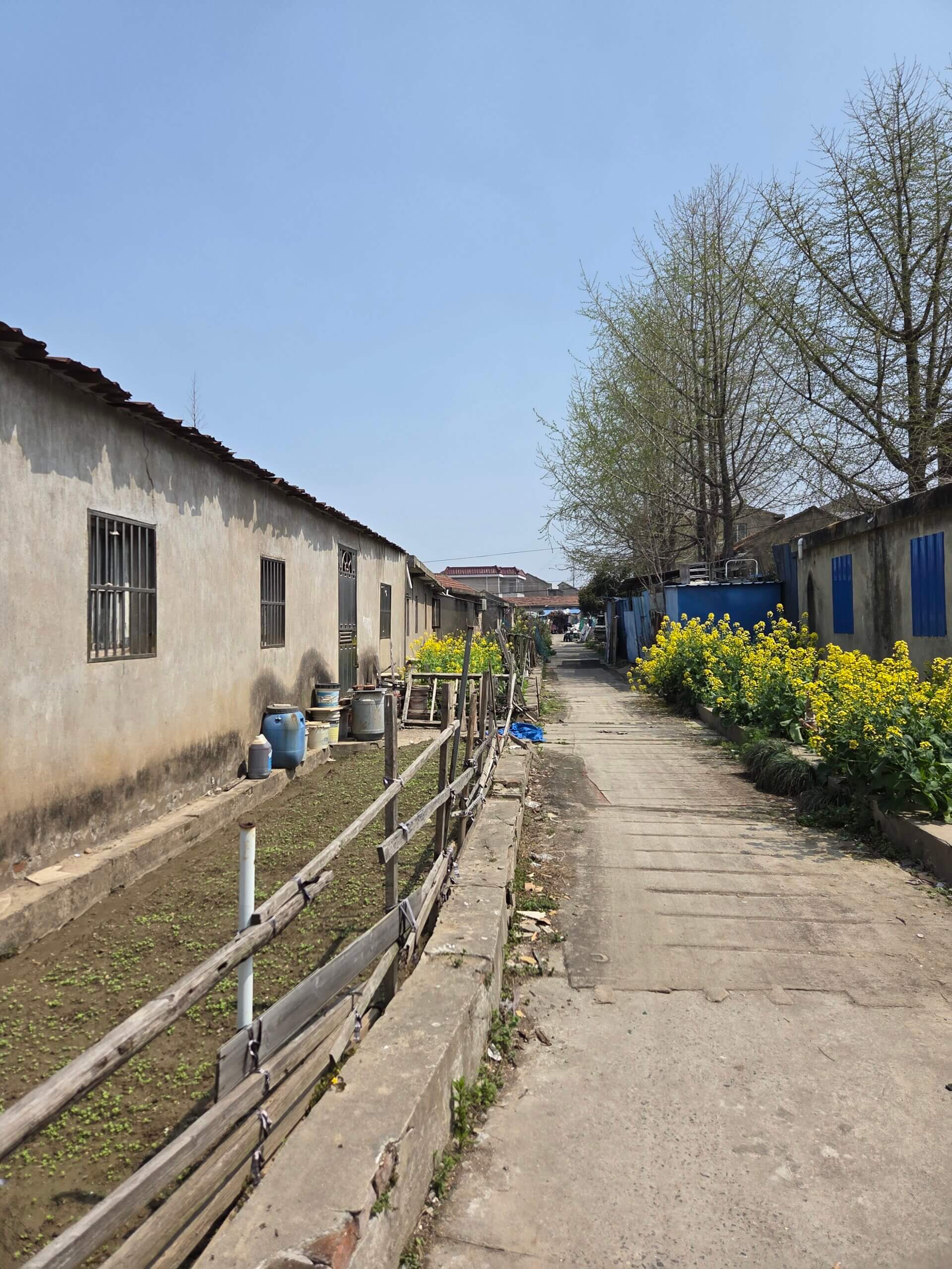 黒舞Ｌちゃんとの交際Part⑤一か八かのクンニ 参考画像